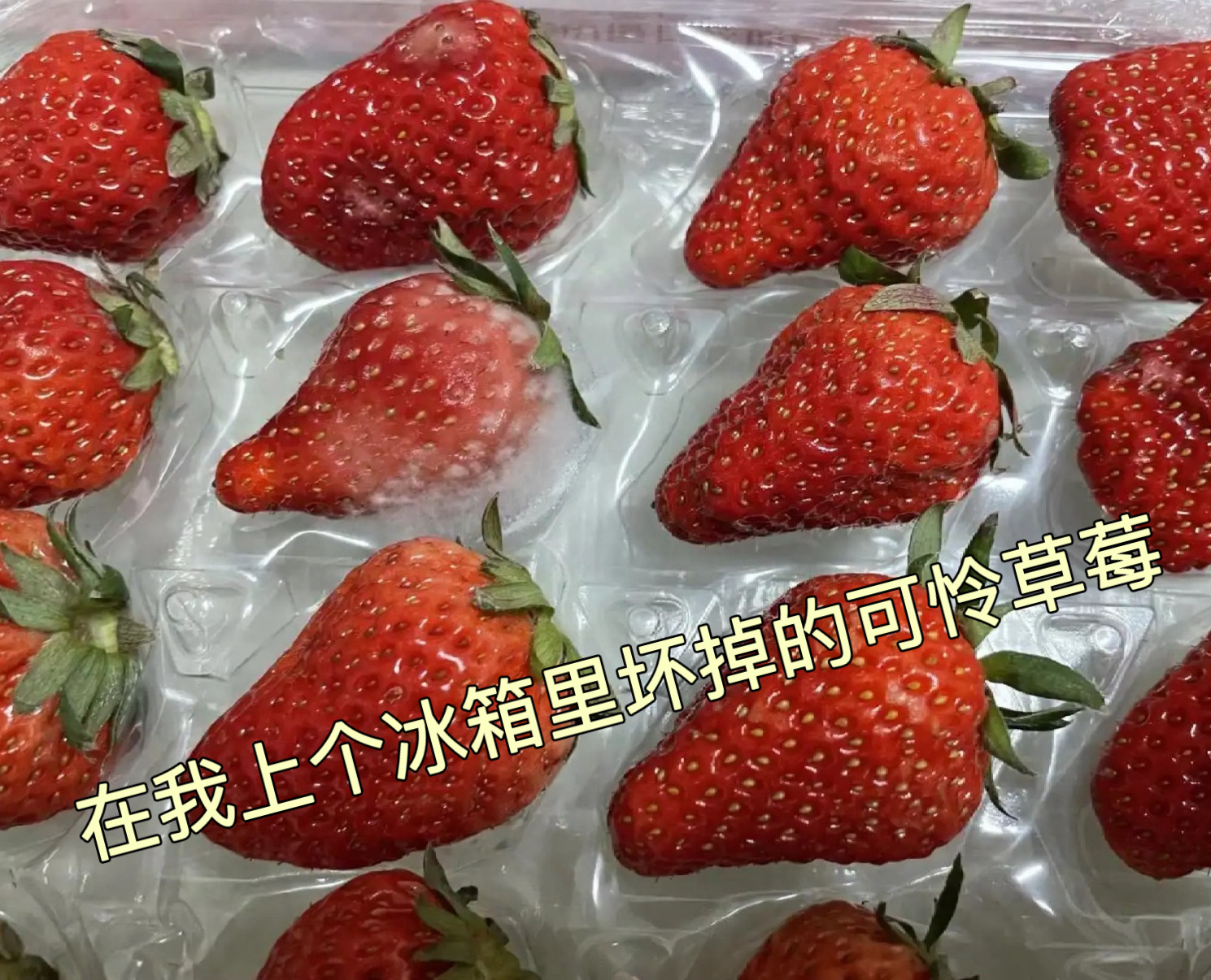 作为美食博主，最心痛的就是各种美食在冰箱里迅速“衰老”！我家旧冰箱就是个“脱水机