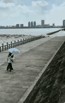 这下好玩了吧？钱塘江大潮又不是第一次来，威力多大心里没数吗？老话说欺山不欺水，潮