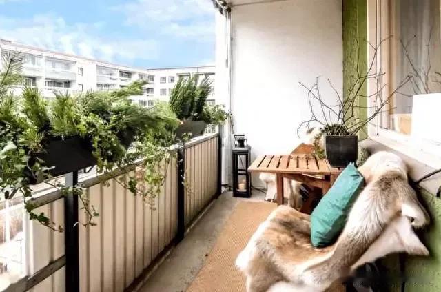 近日，一段关于女子阳台“打扑克”的视频被邻居拍下并上传至网络，引发广泛争议。视频