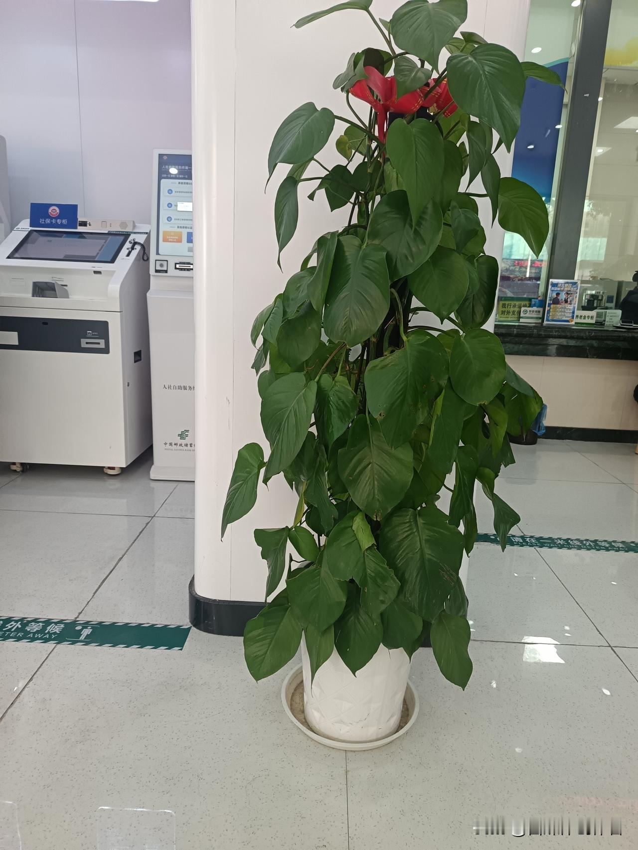 偷得浮生半日闲
岂敢荒芜一秒杀