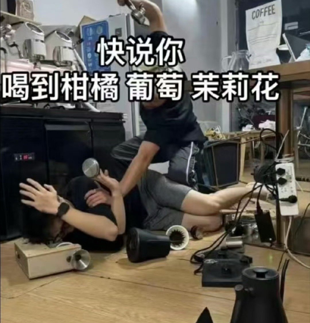放过我吧主理人 ​​​