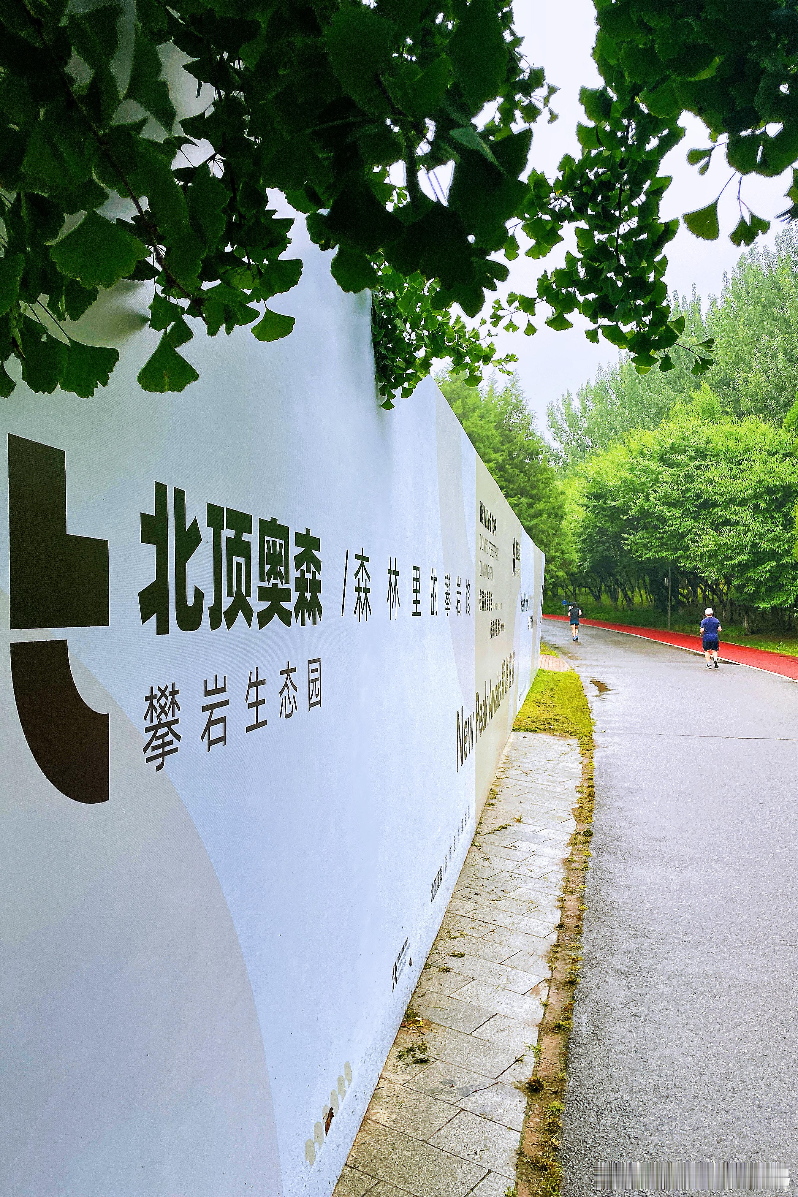 微雨中的北京奥森，南园西南侧月季园附近又新增了一处攀岩设施；北园的百亩向日葵花海