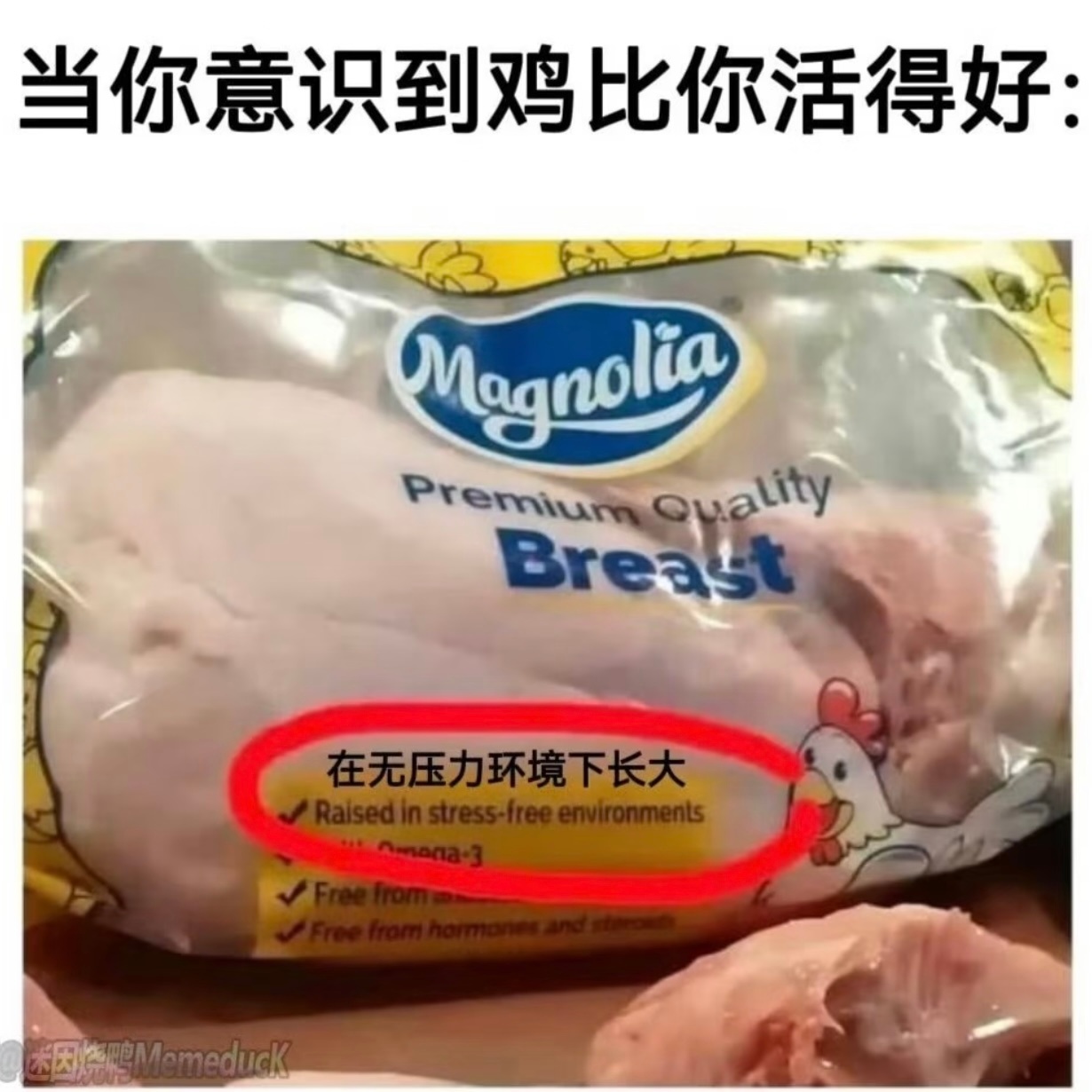 三二，雷风恒恒久不懈，方万事顺心注意肝胆，生殖泌尿，慢性病类宜：上任 出行 入学
