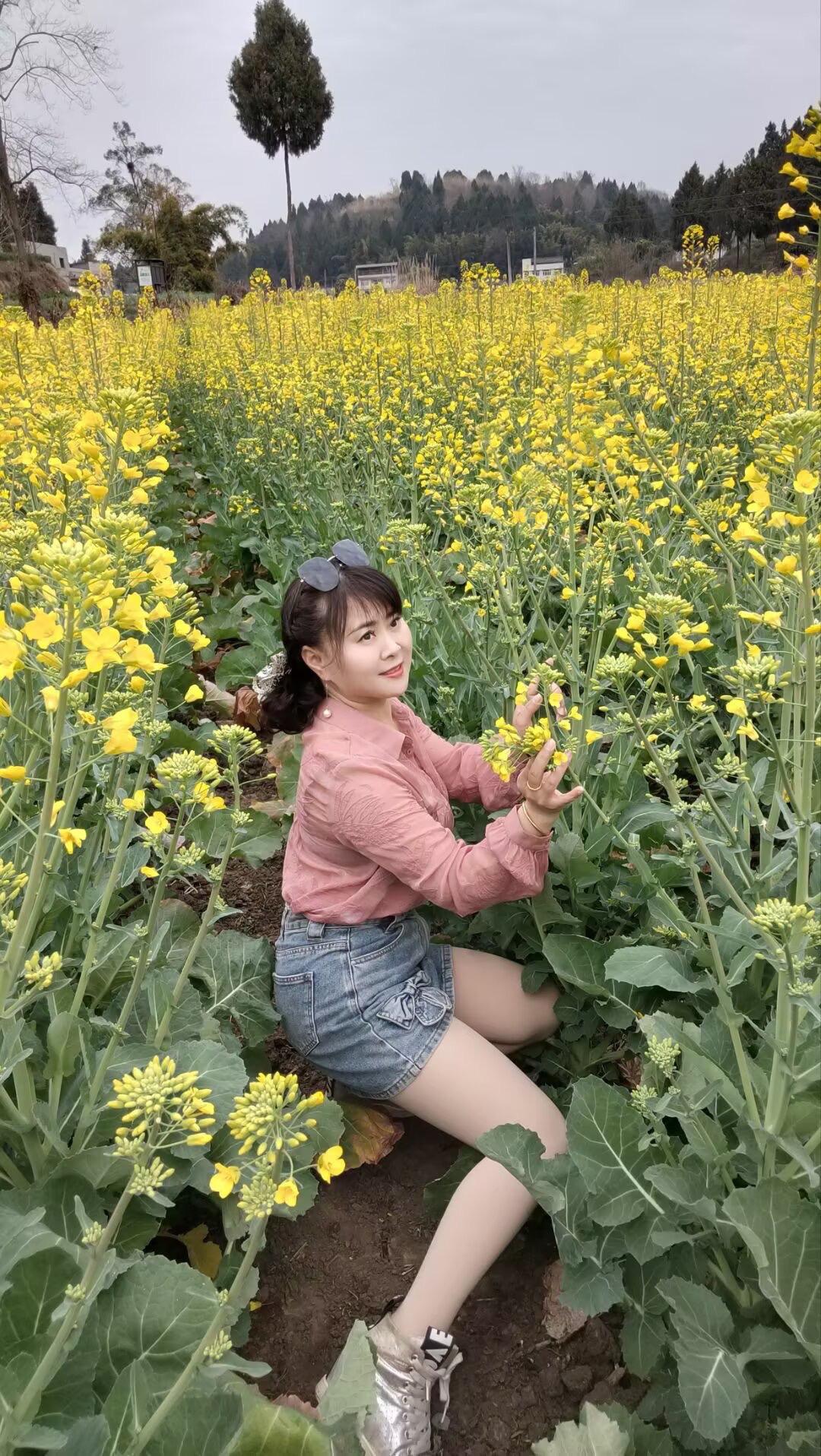 风吹油菜花，心向暖阳开，只要心怀期待，美好总会重来