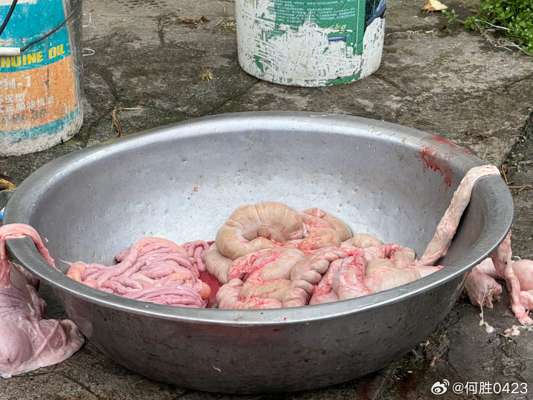 柴火都摆放的这么整齐，一定是热爱生活的人，劈柴喂马做饭，多少人的终极梦想，喂不成