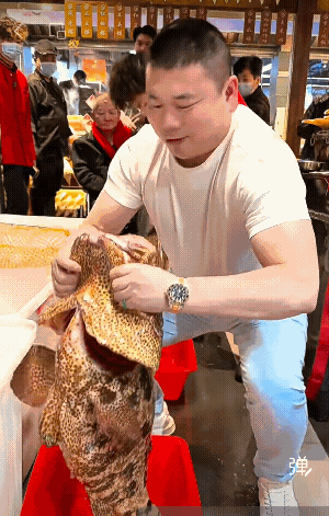 好大的老虎斑  這魚不好吃  沙皮肉硬!