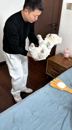 你瞅瞅这大哥，养个小狗比带娃还上心！好不容易哄着睡着了，抱着小家伙轻手轻脚的，跟