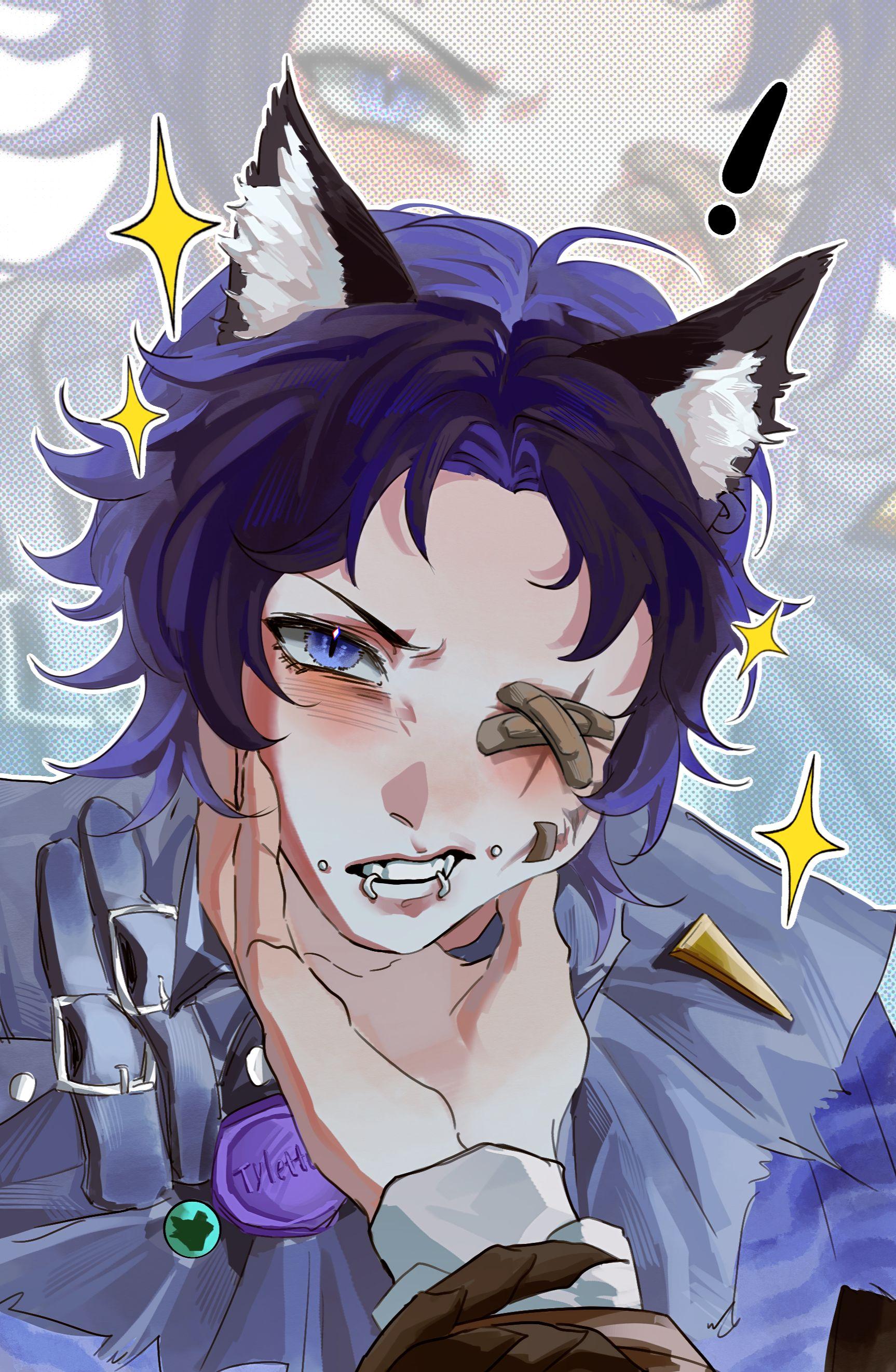 继续猫猫狗狗！！太萌力