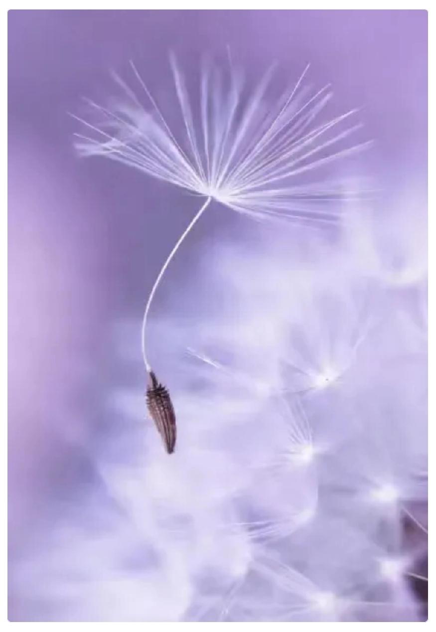 一位心理学者说：
两个人一旦有过一次肌肤之亲，
只要再有机会

这不是道德的评判