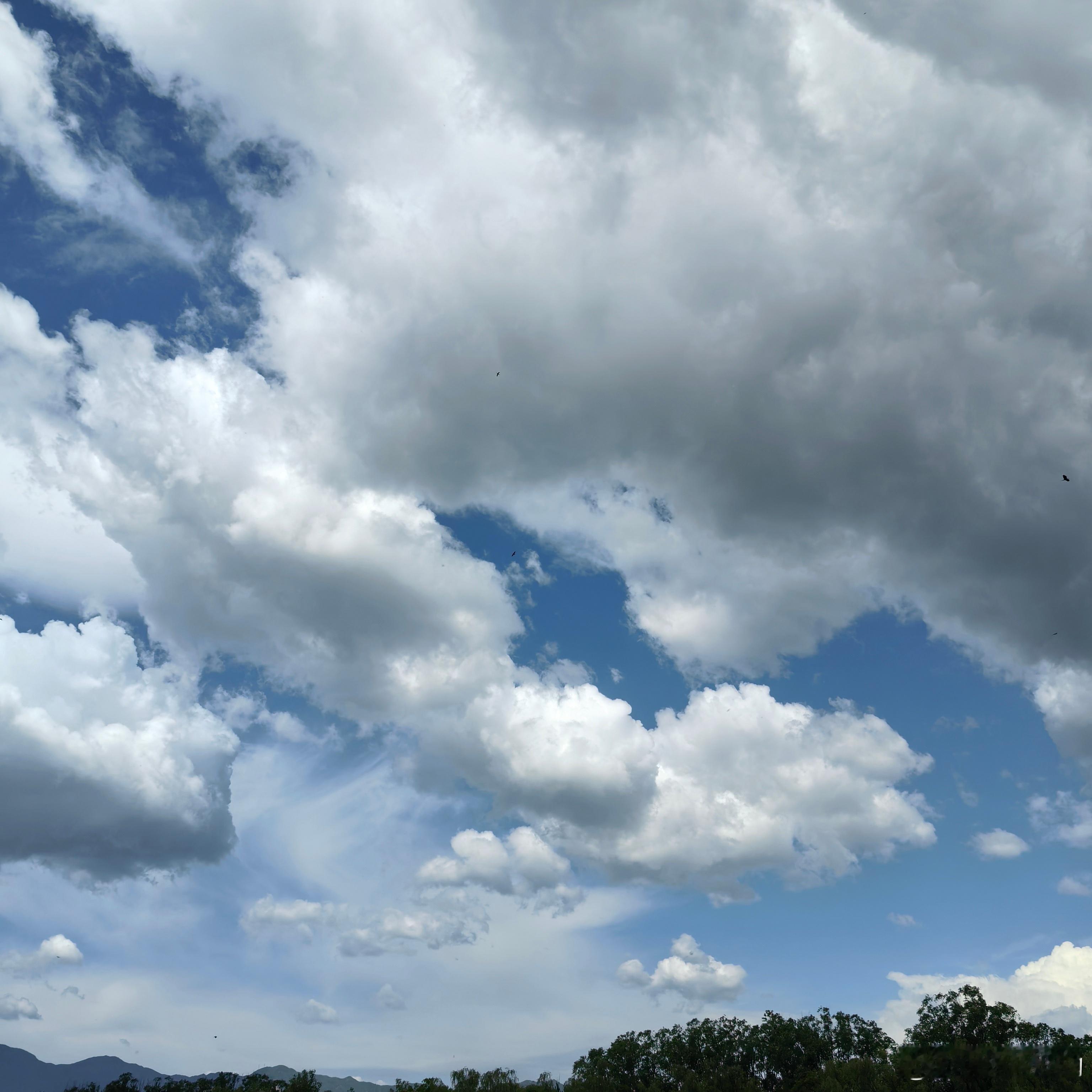 ①↘🌑²⁰²⁶/₀₃.₁₂- ༺❀ൢ🕊️💛༺❀ൢ 您把永远爱我写进了生命的