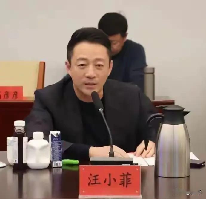 汪小菲在北京开会，很有企业家风范啊！
会上，他谈餐饮业现状，谈麻六记的未来规划，