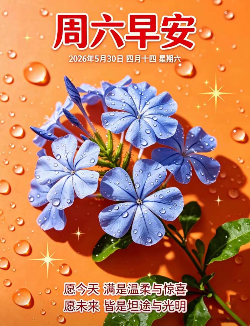 🌺☘️5./30.☘️🌺

🌼晨光轻铺街巷，浅夏和风轻绕，林间草木徐徐散逸