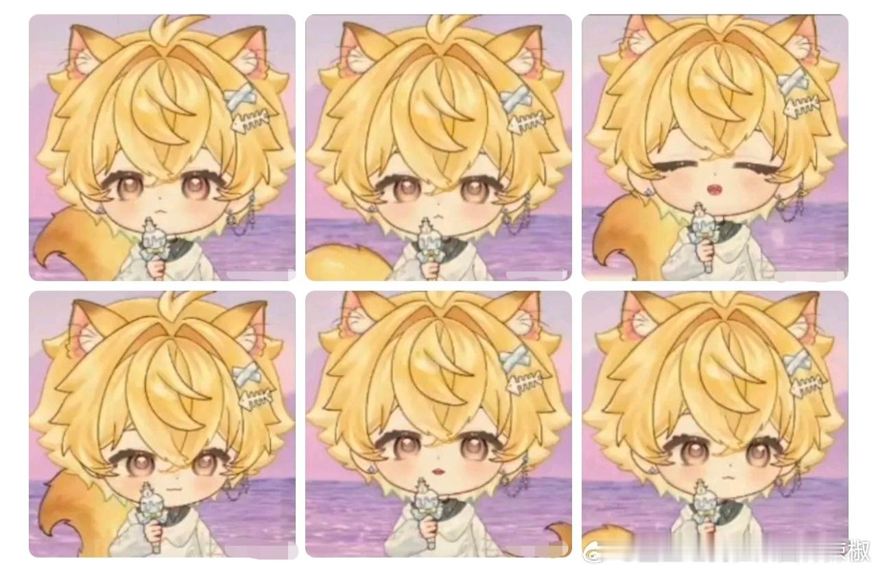 河南猫出生大头首秀珍惜影像 