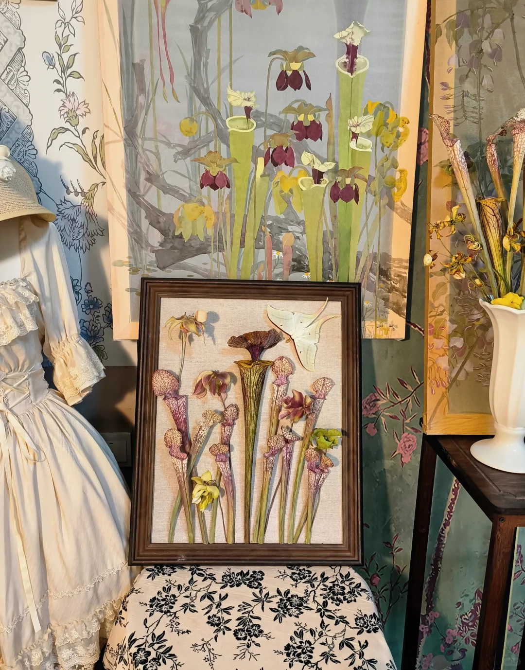 永不枯萎——瓶子草标本