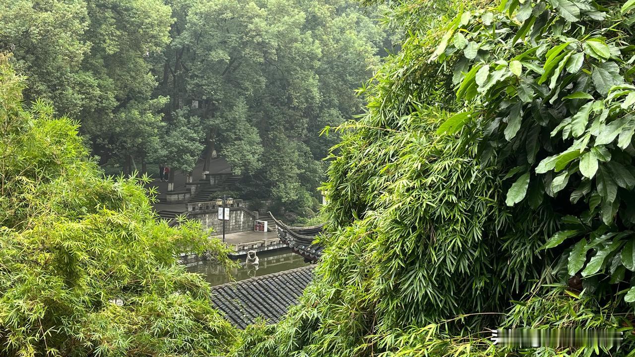 #随手记录秋日生活#
今日寒露，水应该凝结成霜，但是我们泸州不同意，显然是看不到