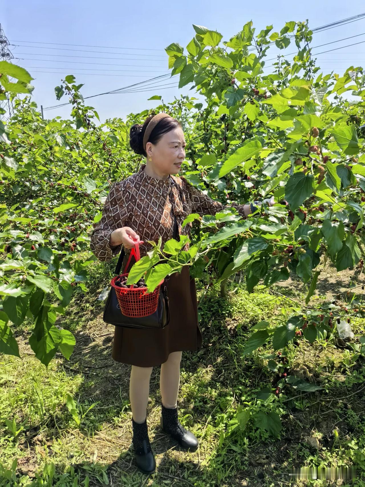 《鹧鸪天·金秋寄愿》

金蕊飘香遍四方，
尘缘刻骨岂能忘。
晨携吉语殷殷送，
心