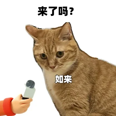 已读乱回发疯文学&户外人专用版