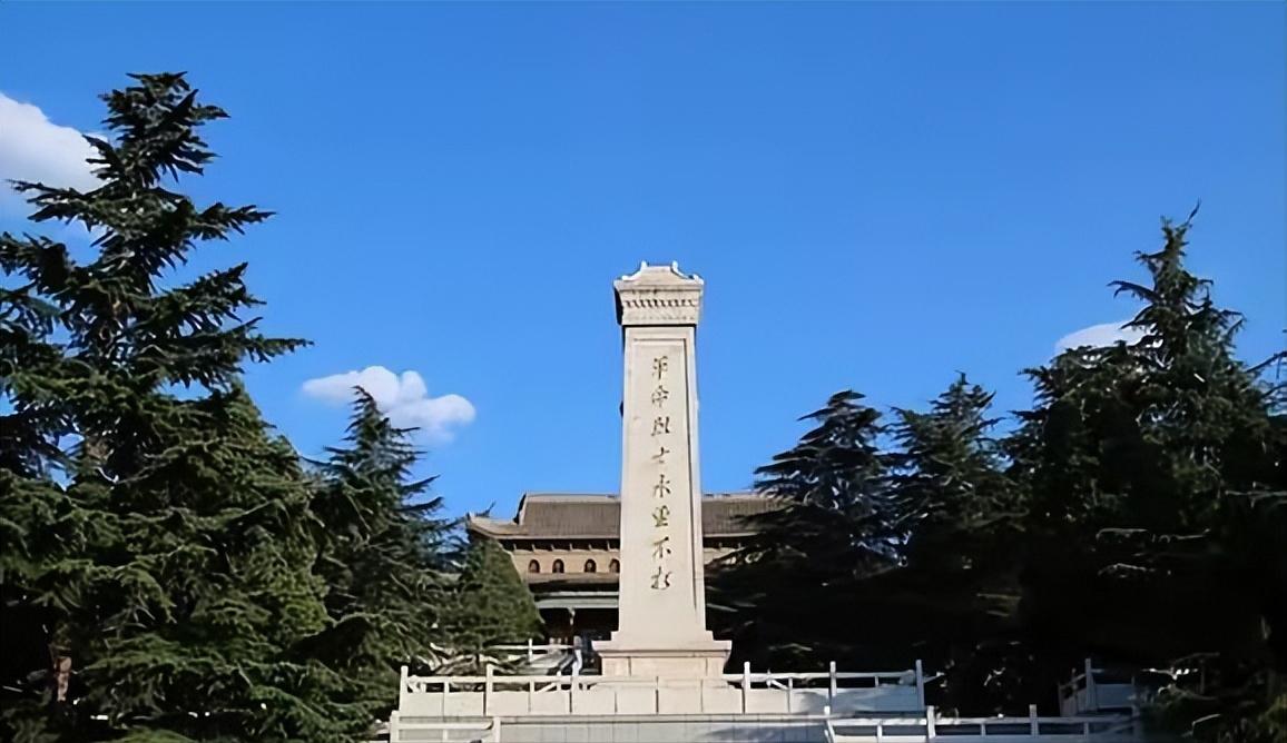 “如果必须走那条路，先辈的血就白流了！”为什么这句话能引起这么多人共鸣——大家讨
