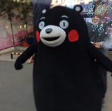 棉腾侃侃科技