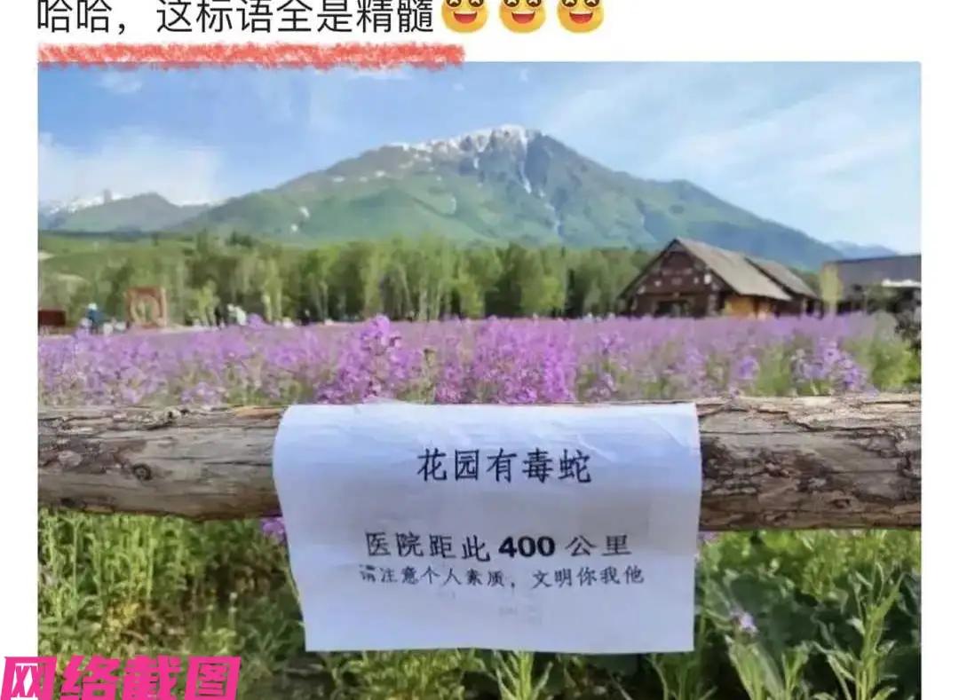 你见过最狠的告示牌长什么样？

新疆有个花园，围栏上贴了这么一句话：“花园有毒蛇
