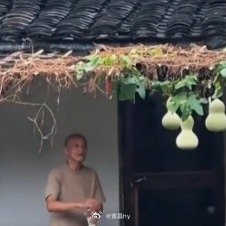 绍兴文旅恳请游客多体谅葫芦娃爷爷老人家身体健康最关键  ​​​