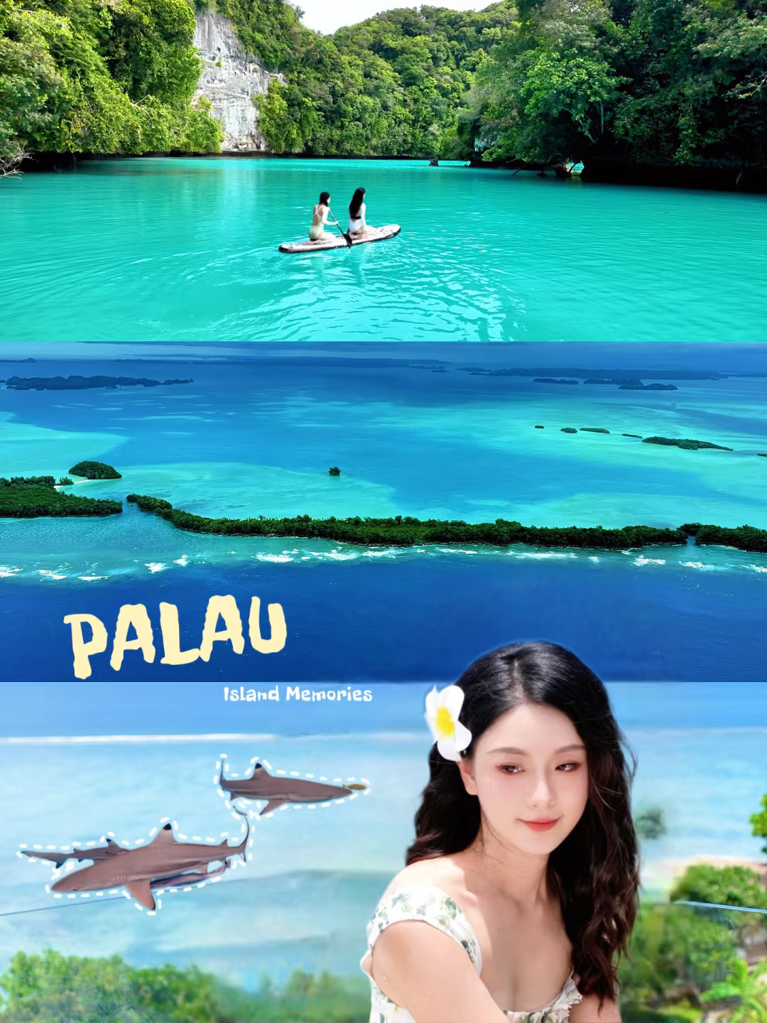 无废话版帕劳5天行程攻略🏖️行前必看！