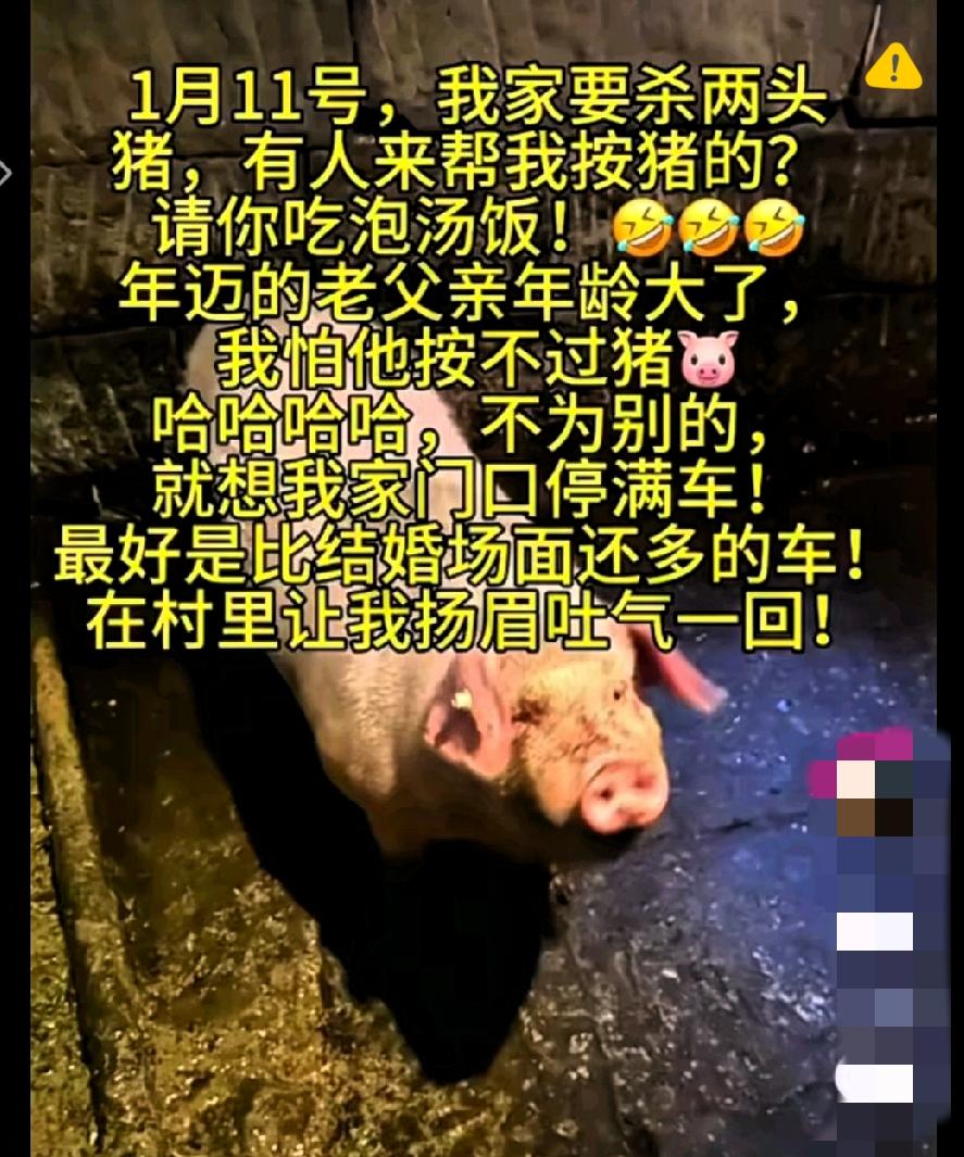 谁能想到，一场普通的杀猪聚餐，居然成了全网围观的大型线下派对！

重庆合川的博主