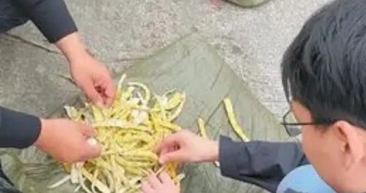 四川古蔺通报“硫磺熏制鲜竹笋”：已对涉案人员进行立案调查，对全县竹笋收购、加工、销售等环节开展全面排