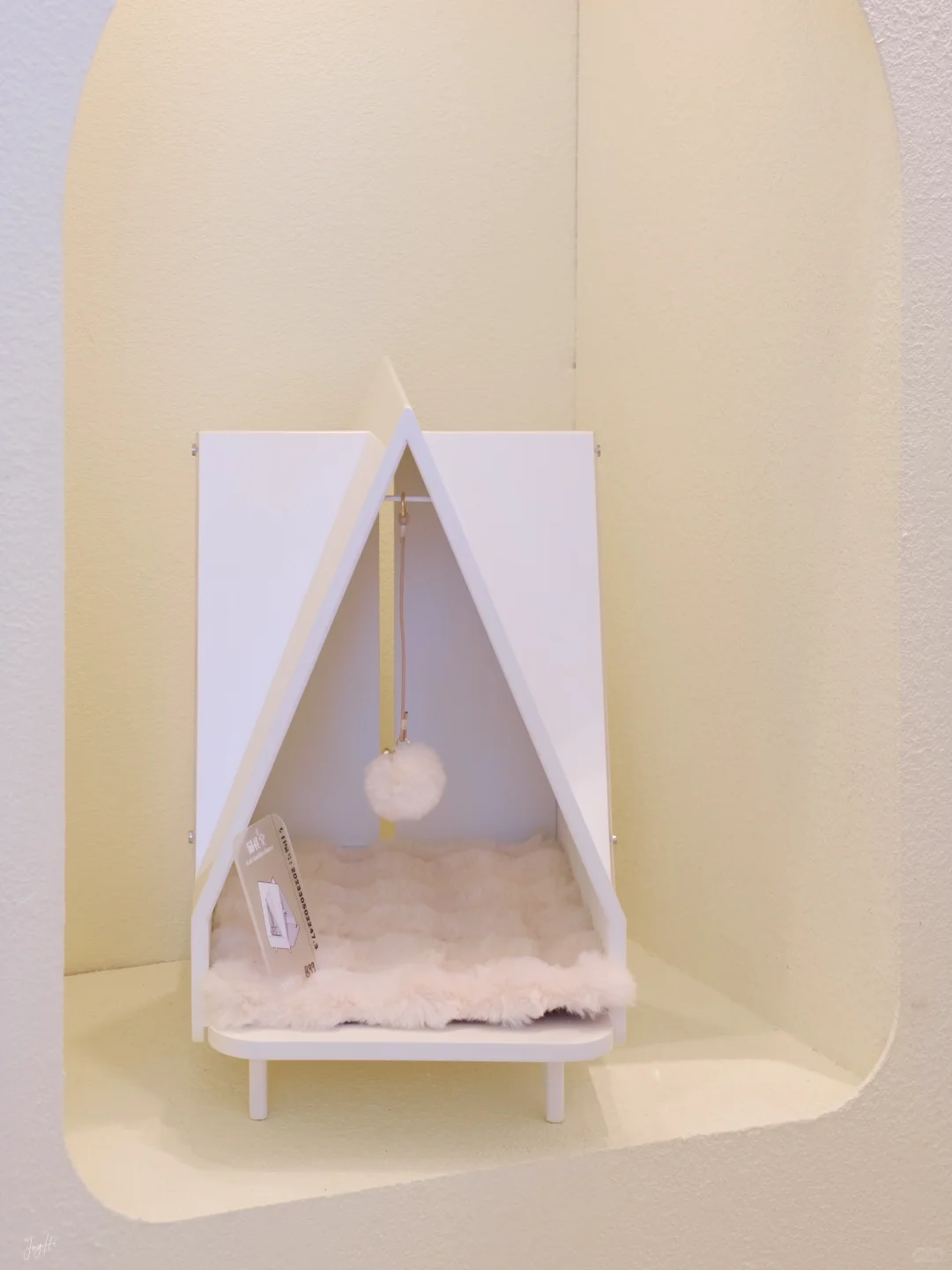 亚宠展极速逛满7小时不花钱版分享