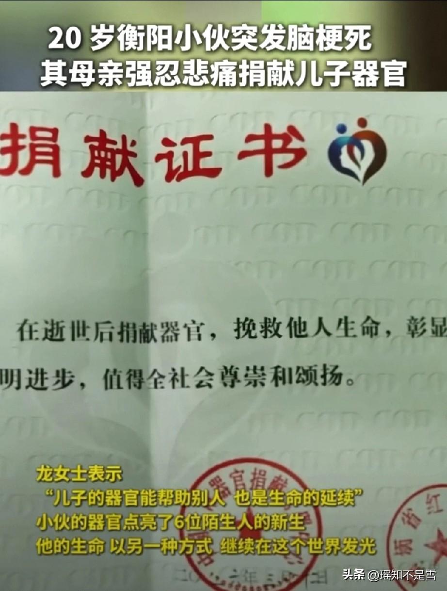 20岁小伙突然离世，母亲的决定为何让全网泪崩？

谁能想到，刚踏入社会、满心想着