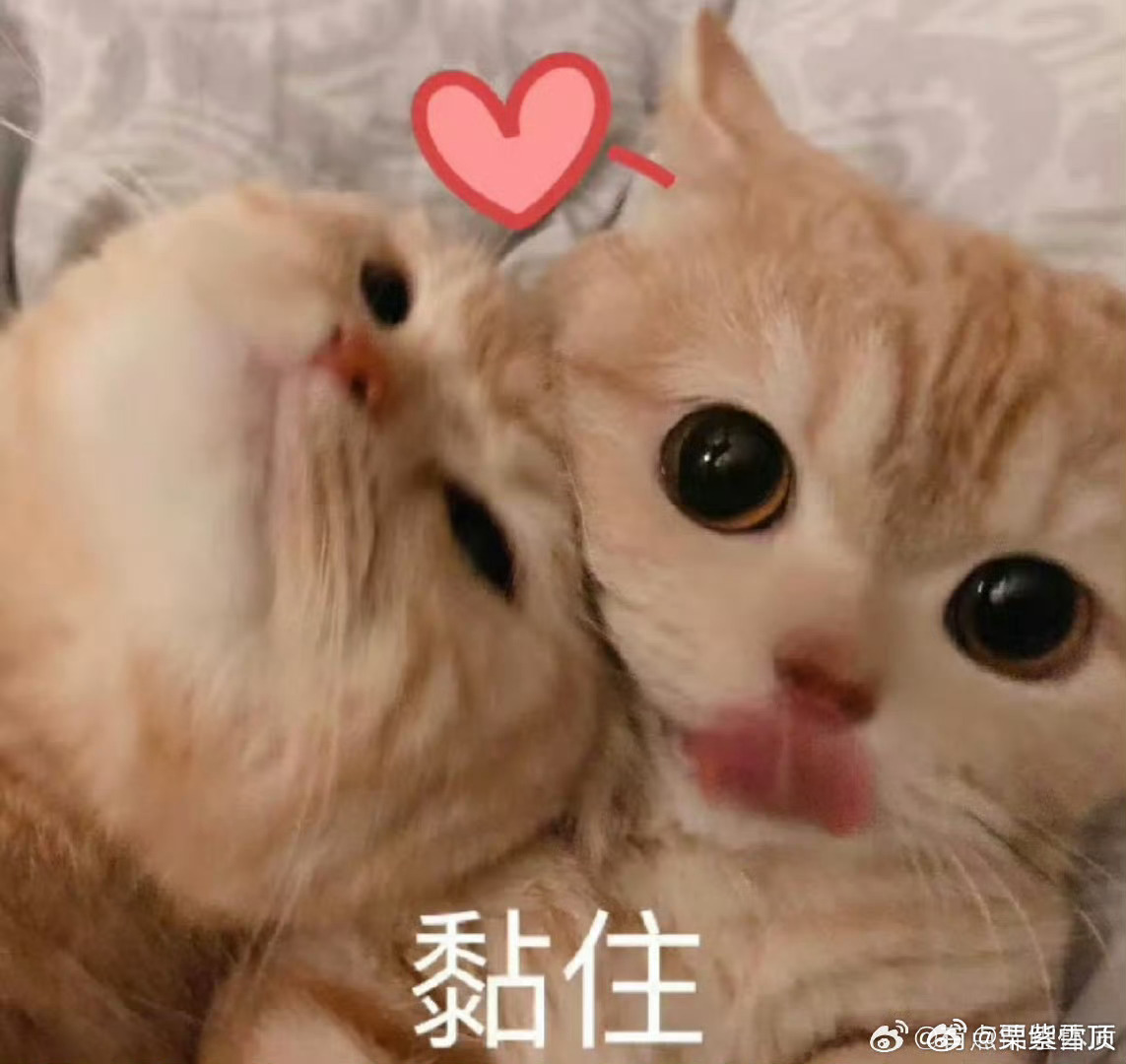 蒋一侨侯佩岑舞台上脑门贴贴是谁又嗑到了我不说[偷笑]这就是来自舞台的魅力吗，让两