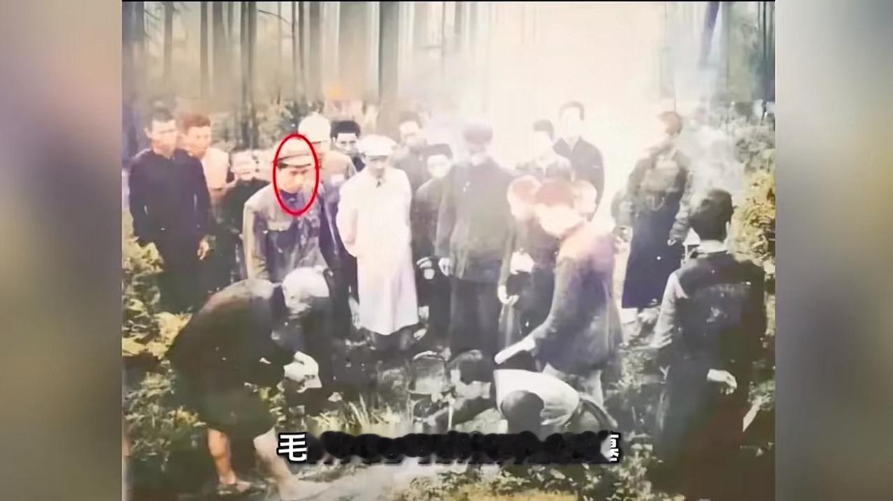 1950年，遵照毛主席嘱托，毛岸英回到湖南板仓，祭拜母亲杨开慧烈士。

杨开慧牺