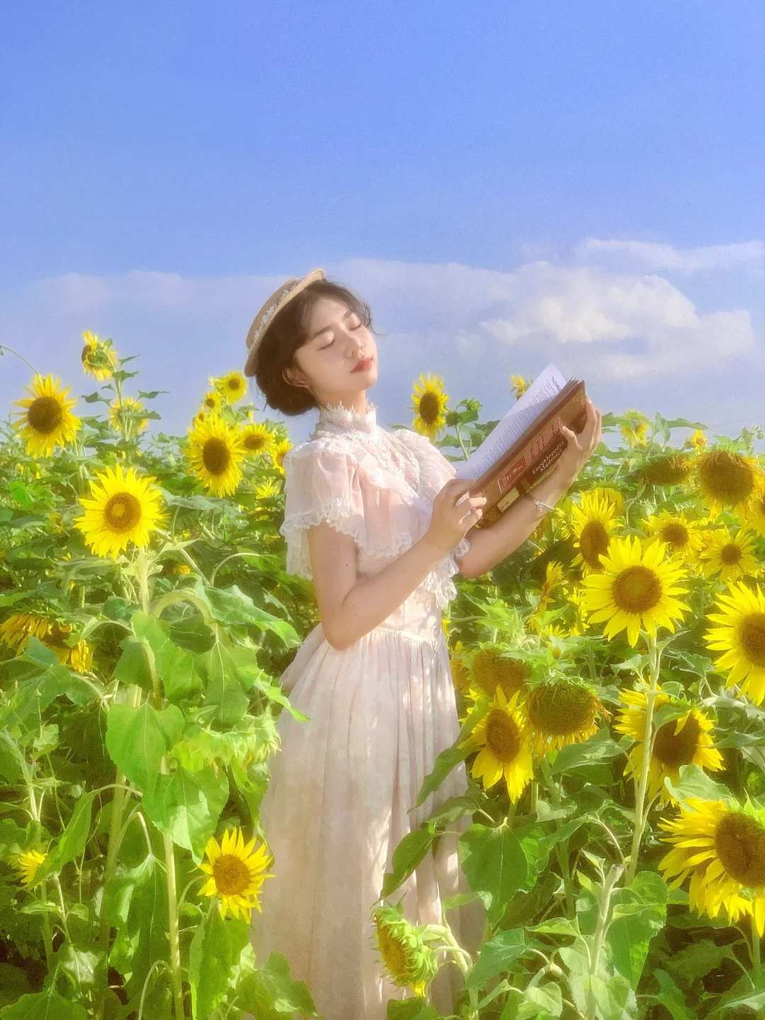 太阳的偏爱是独属于向日葵的仲夏🌻✨