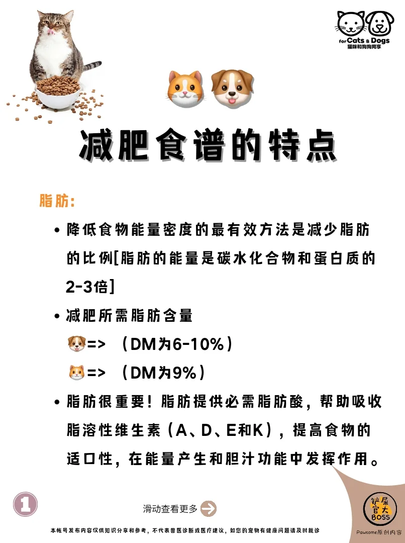 减肥食谱的特点
