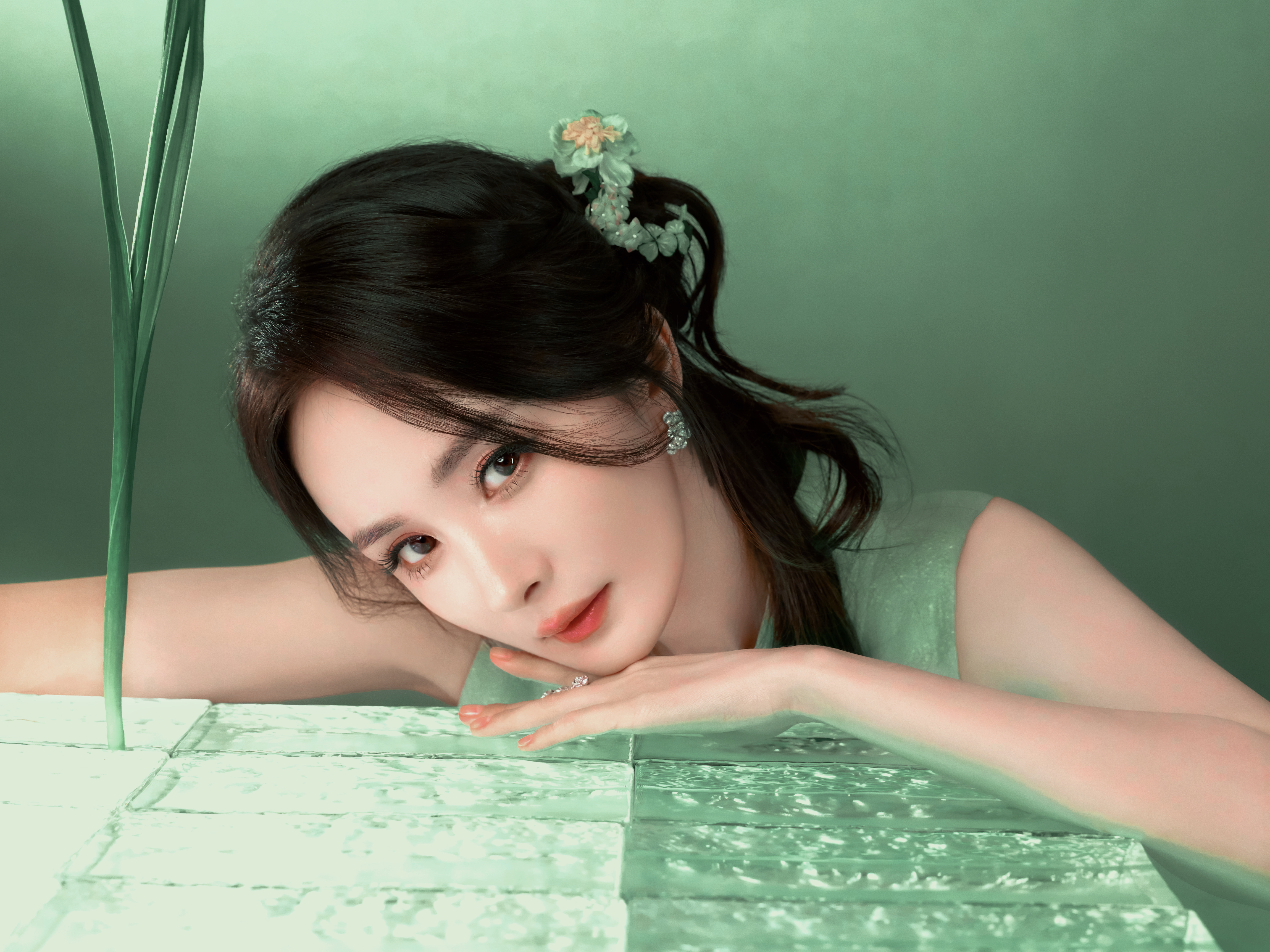 杨幂  🎋 