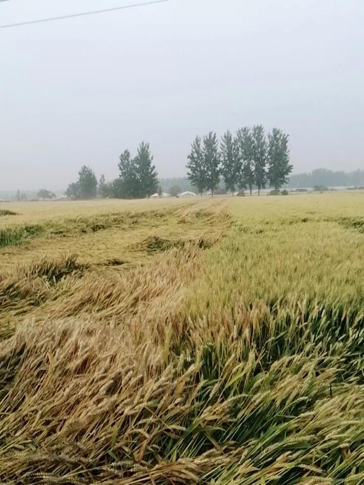 下联：妙句常生断发喉