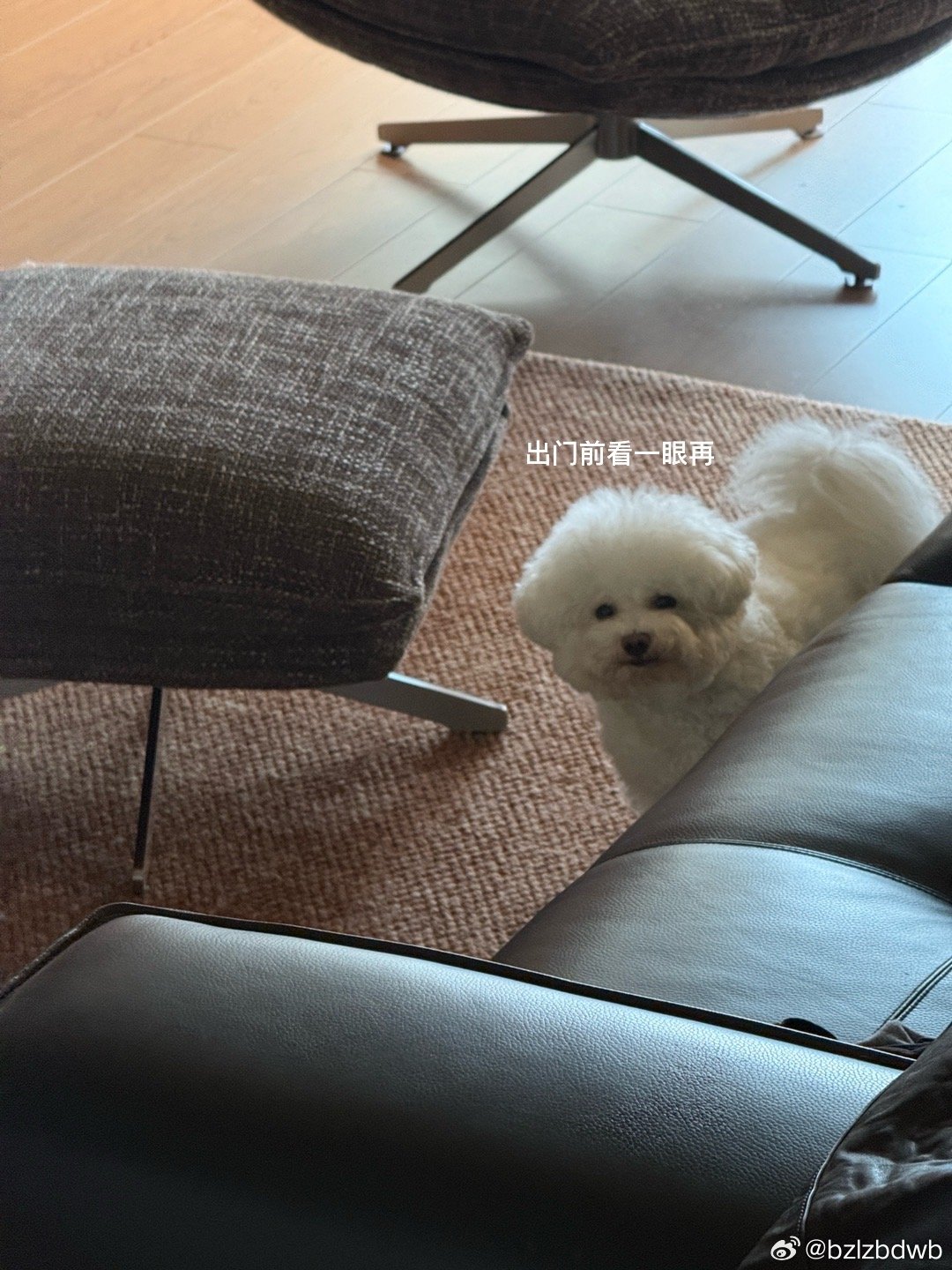 一头扎进工作里真的很爽 