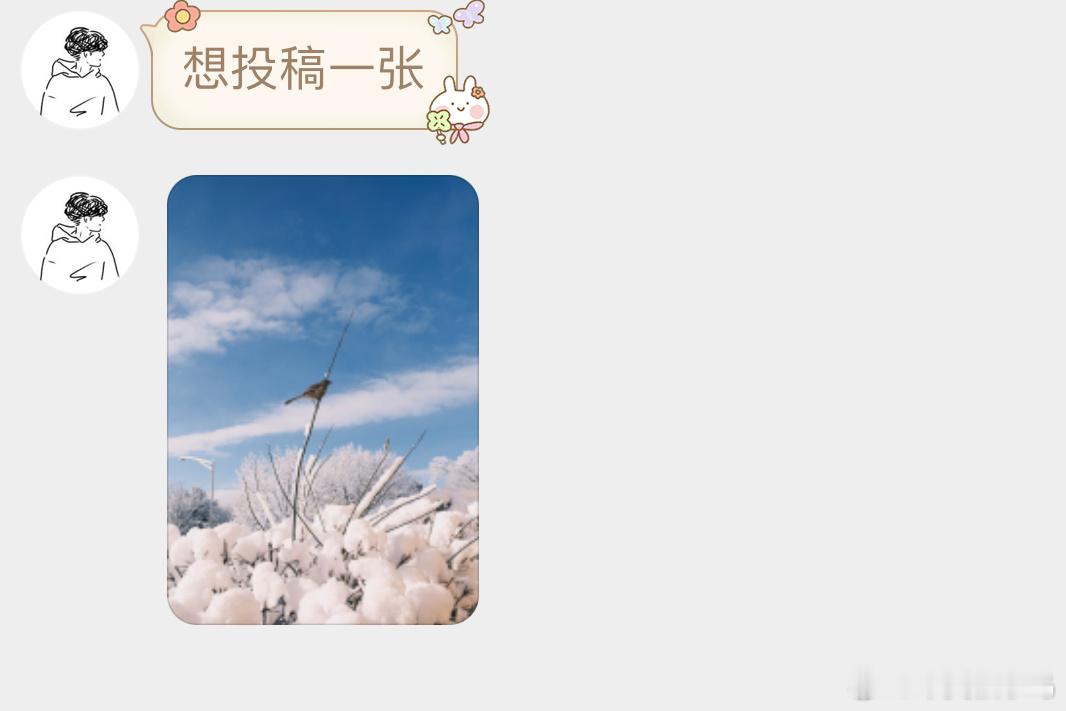 鸟粉投稿 棉花堆（雪地）里的【小嘲鸫dōng】 