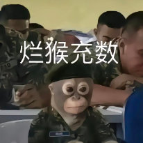 最烦这种认不清自己的208。没有刘亦菲的国民度，没有赵丽颖的作品厚度，更没有辛芷