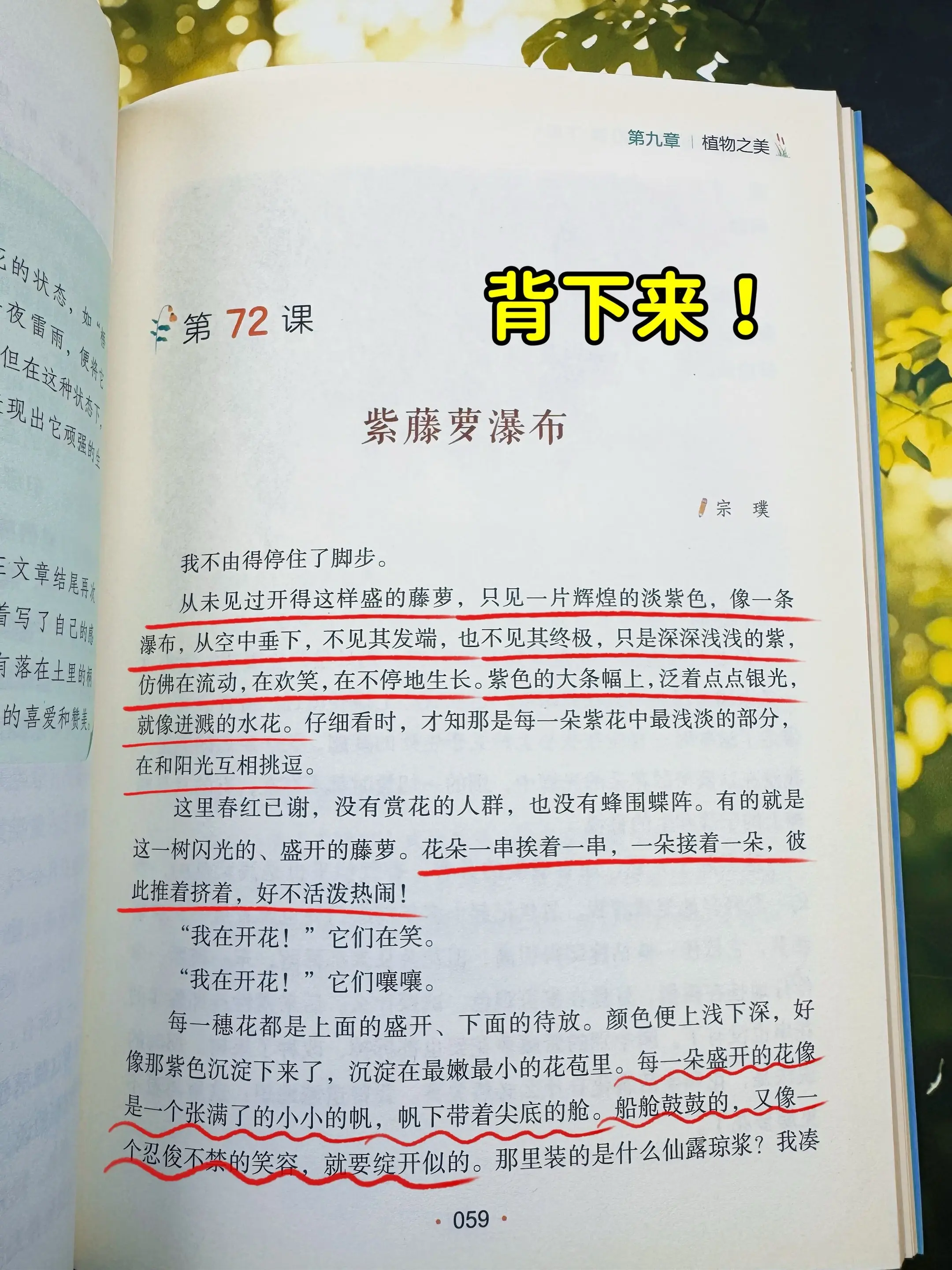 三年级开始多读名家散文了。多读散文，才能写出好作文！小学生必读散文10...