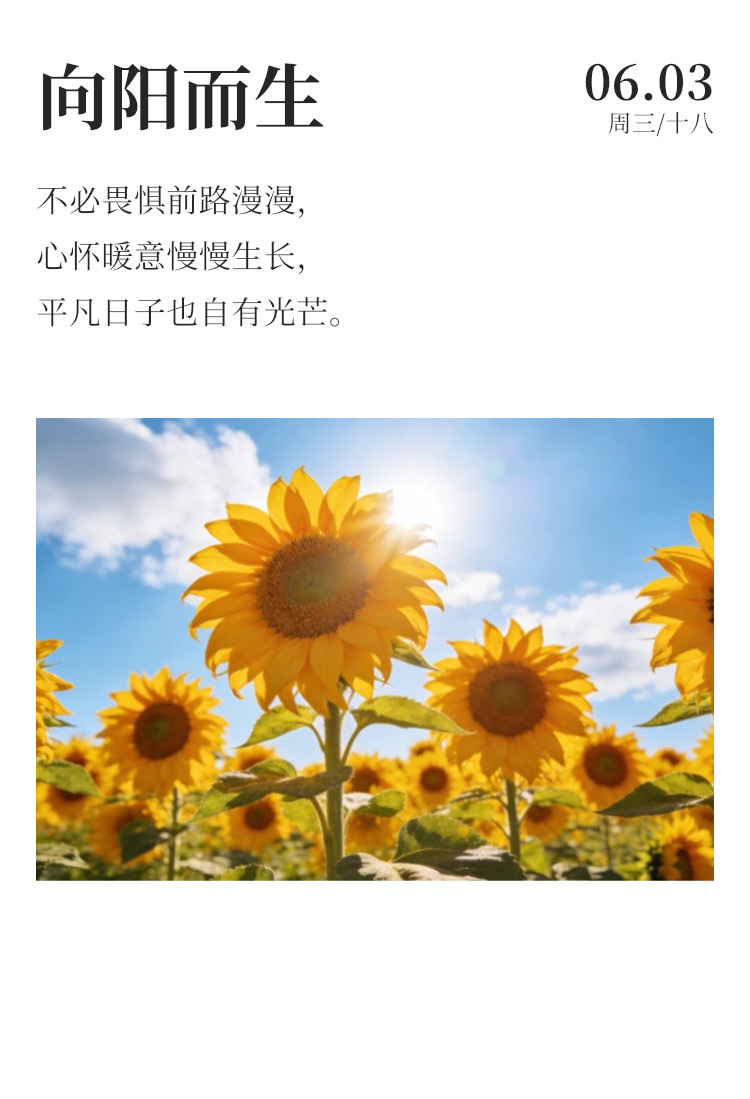 早安 🌧️每天早起打卡想要破茧成蝶，必须付出百倍努力。今日天气：白天中雨，夜间