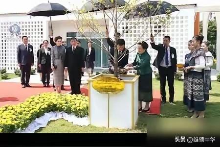 种“友谊树”是国与国外交中不可或缺的环节，泰国与老挝也不例外，泰国国王在访问老挝