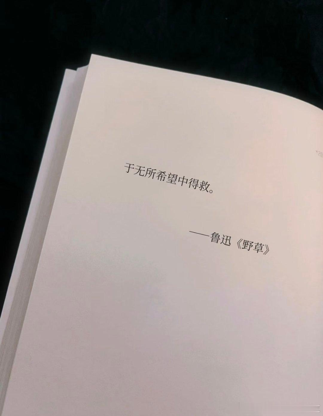 于无所希望中得救——鲁迅 