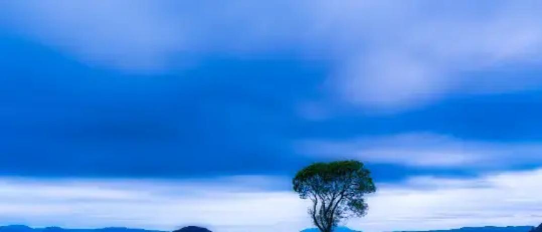 其实我觉得，很多父母都搞错了孝顺这事儿。

曾仕强老先生说过，孩子给你买东西发红