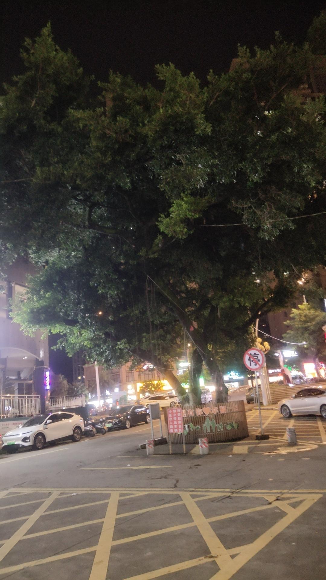 上海高收入人群哪个区最多?
看密度，黄浦、静安、徐汇领跑，人均可支配收入位居全市