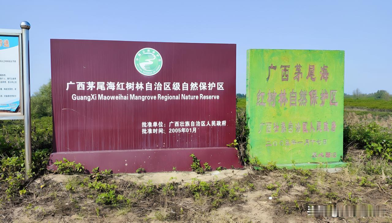 钦州排太低，有国家级红树林候鸟自然保护区，也是广西沿海红树林三大片区之一，竟然排