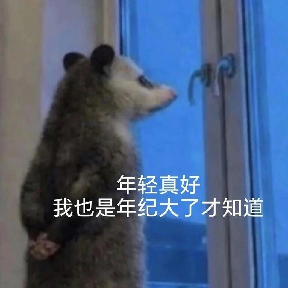 要被这个负鼠表情包笑鼠了，太好用了。 