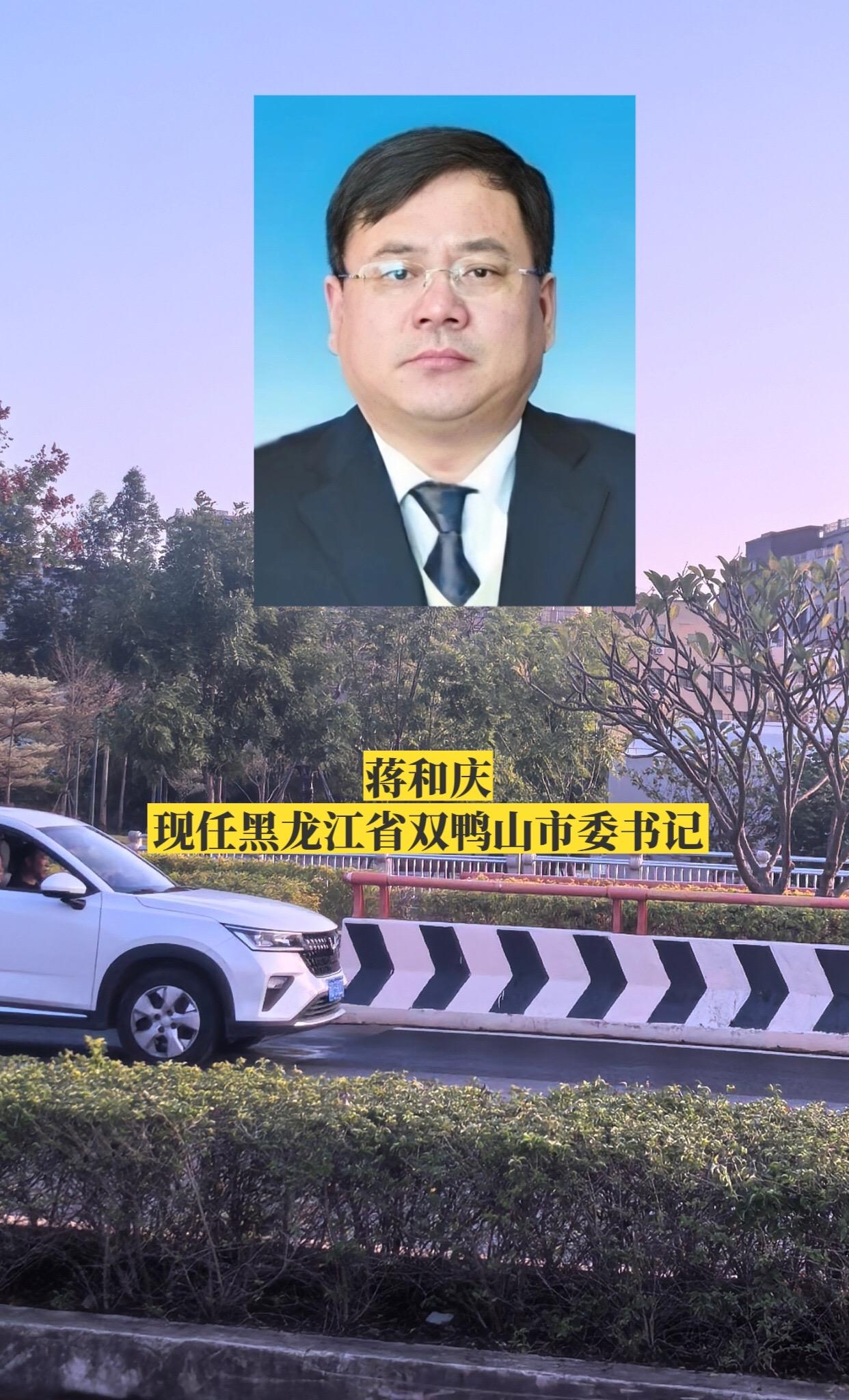 黑龙江双鸭山市委领导。