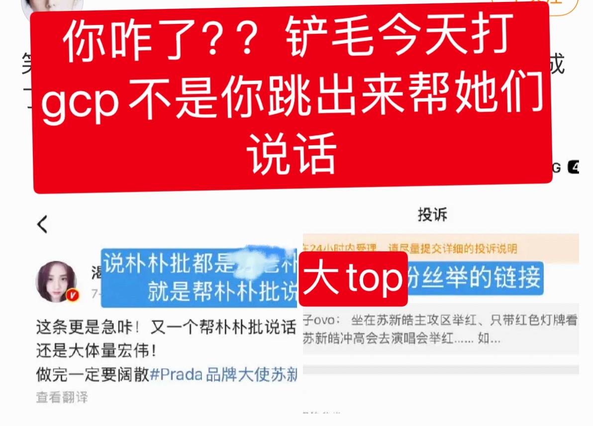 她这是咋了？她截图的不正是狂塞带苏新皓大名然后说gcp的吗？铲毛今天爆gcp聊天