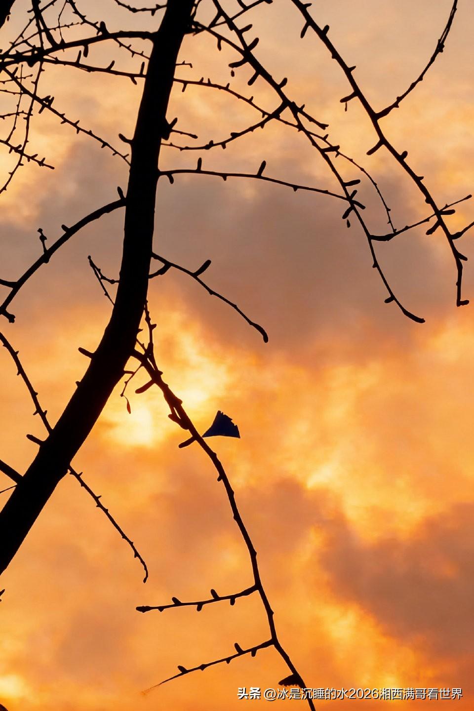 转发分享一组互联网出现的中国先进武器装备的精彩靓图。光影交错，生龙活虎，叱咤风云